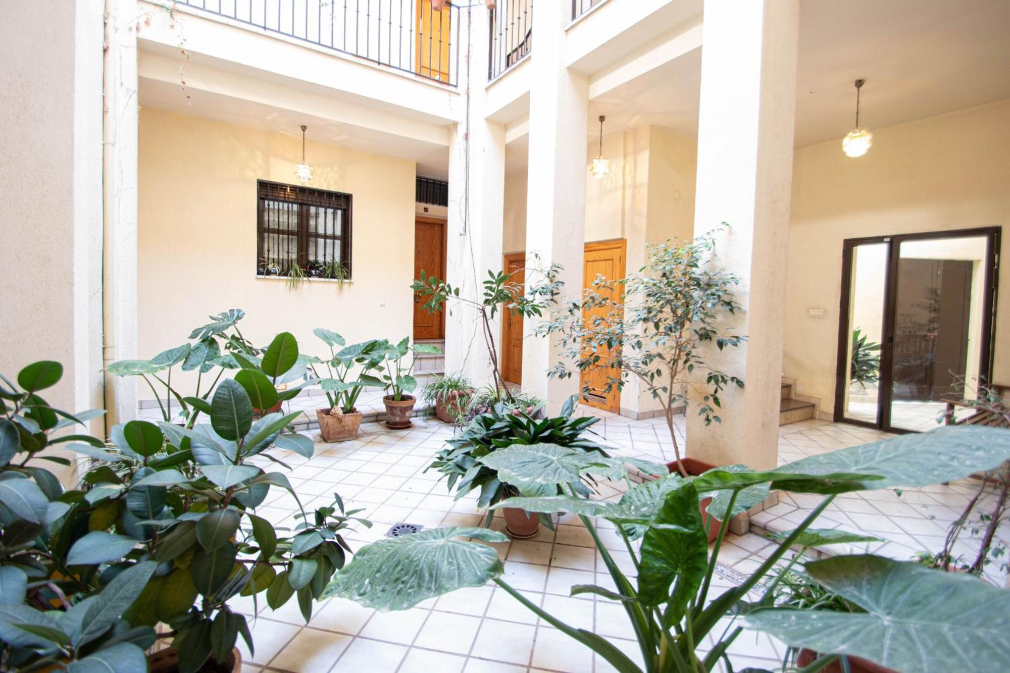 Elvira 54 Apartment グラナダ エクステリア 写真