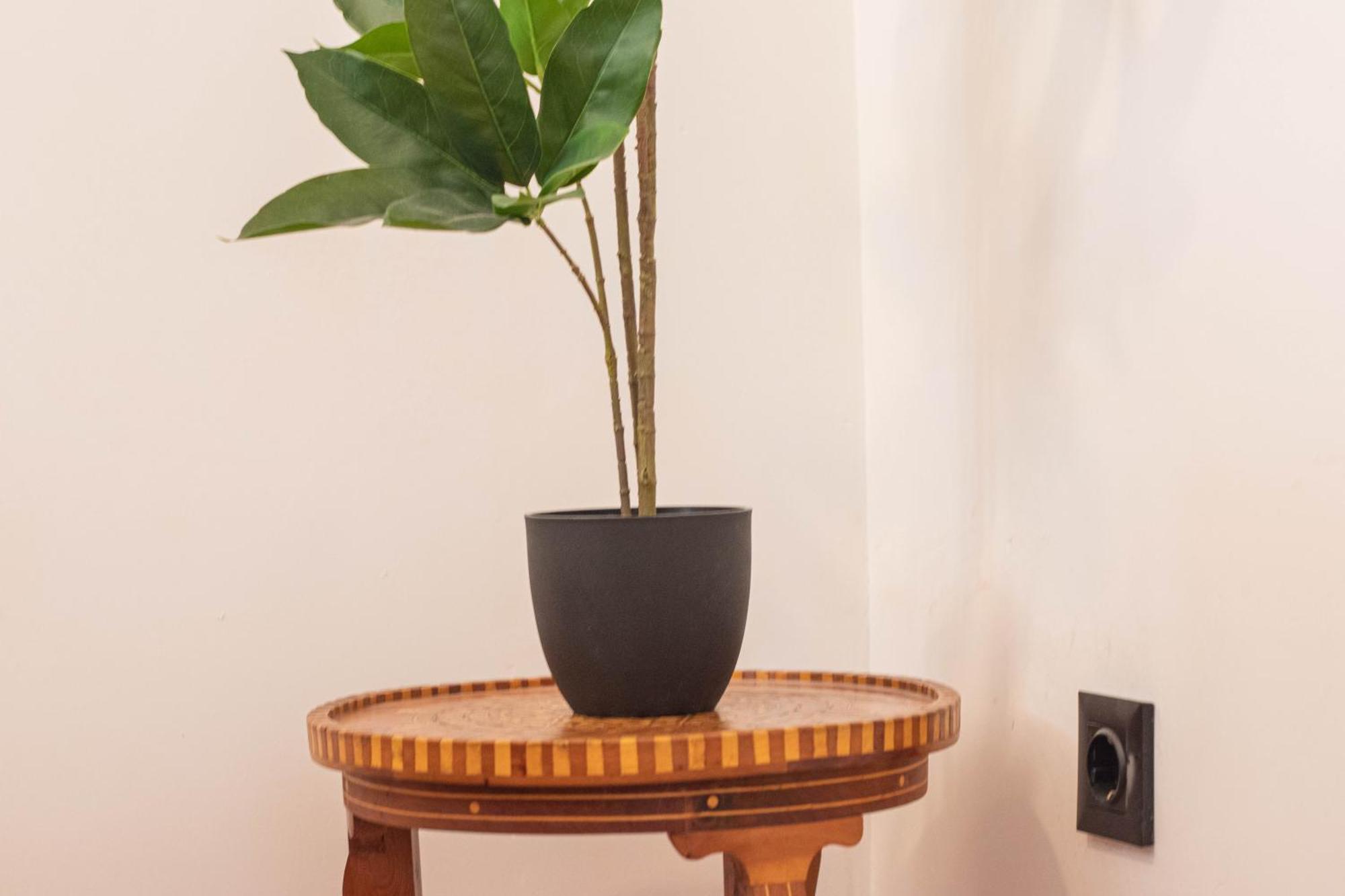 Elvira 54 Apartment グラナダ エクステリア 写真