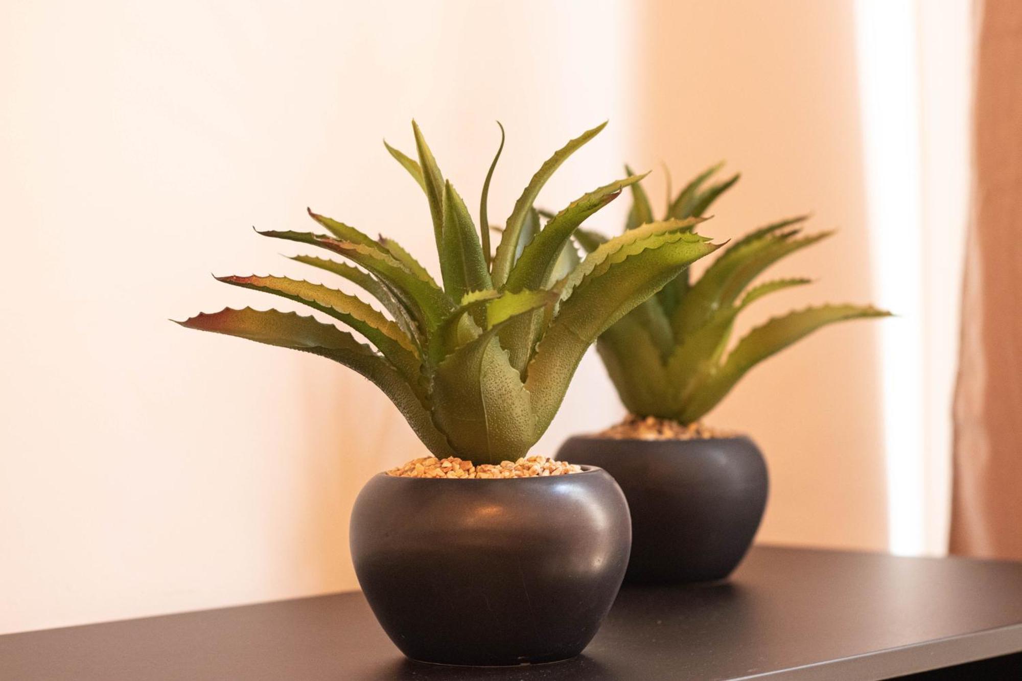 Elvira 54 Apartment グラナダ エクステリア 写真