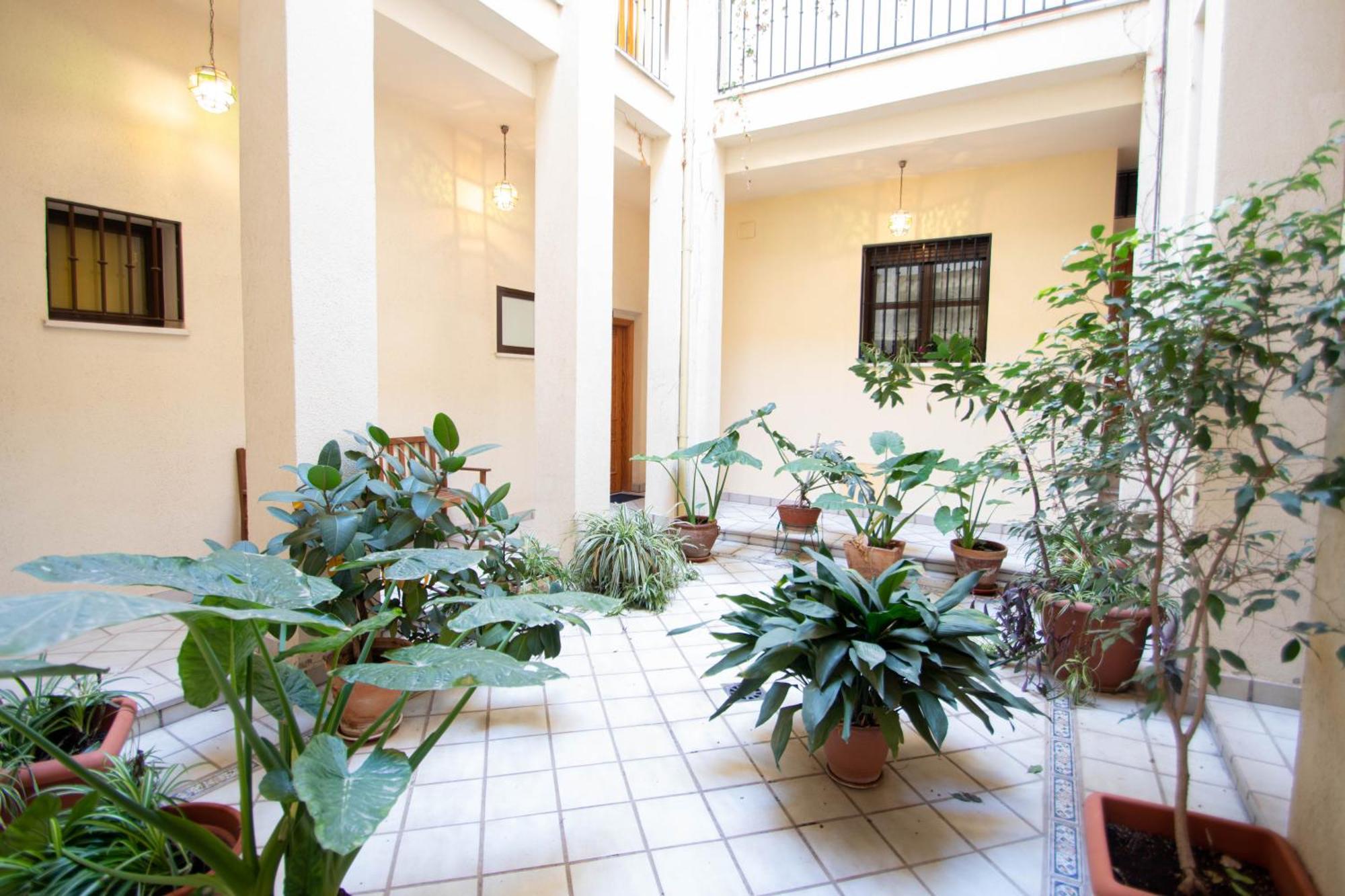 Elvira 54 Apartment グラナダ エクステリア 写真